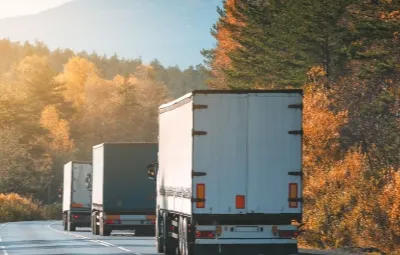 İzmir Topağacı | Klima Taşıma